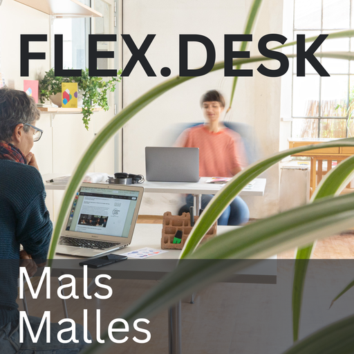 [Coworking] +Flex Desk - Mals